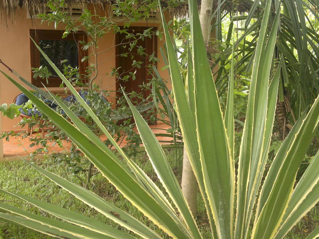 Botanica Ξενοδοχείο Kep Εξωτερικό φωτογραφία