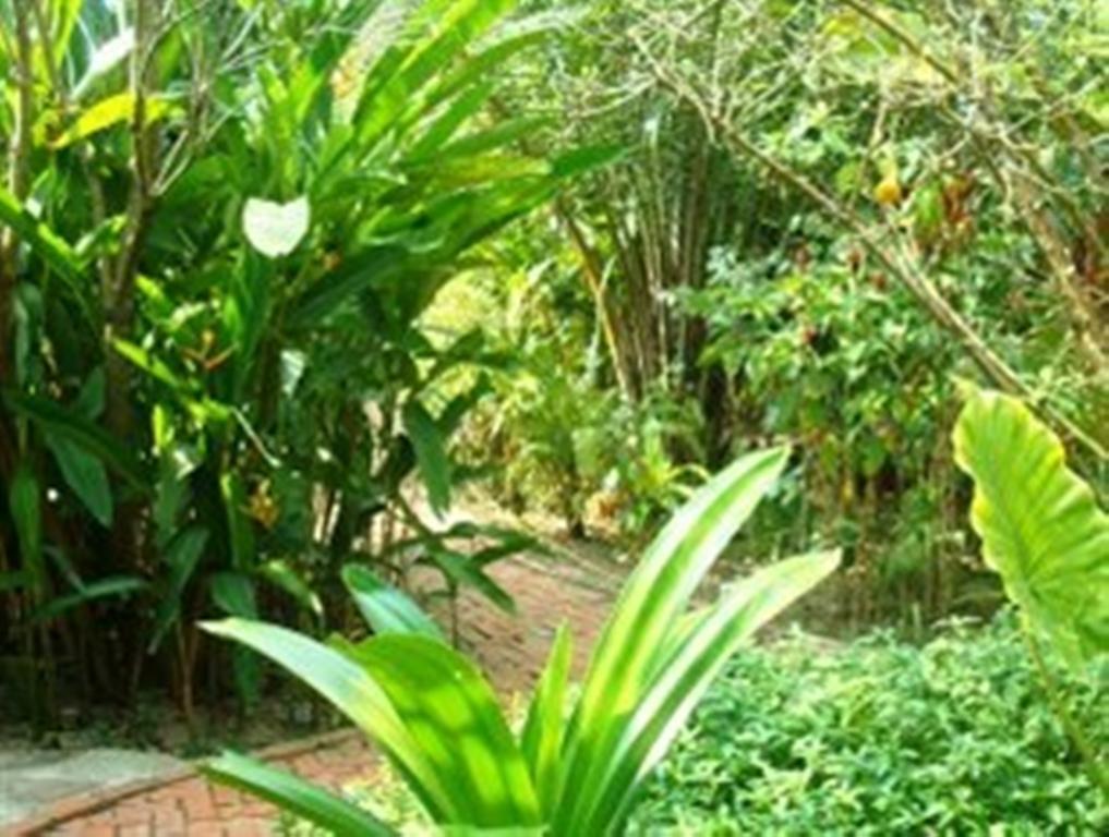 Botanica Ξενοδοχείο Kep Εξωτερικό φωτογραφία